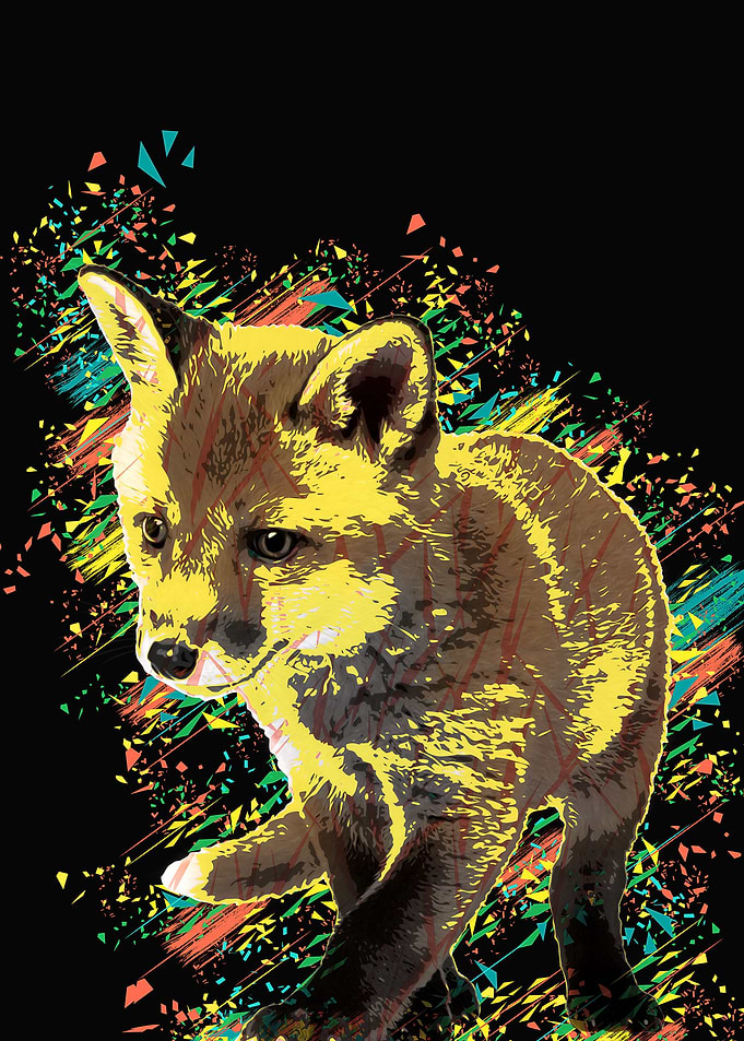 Fox black color