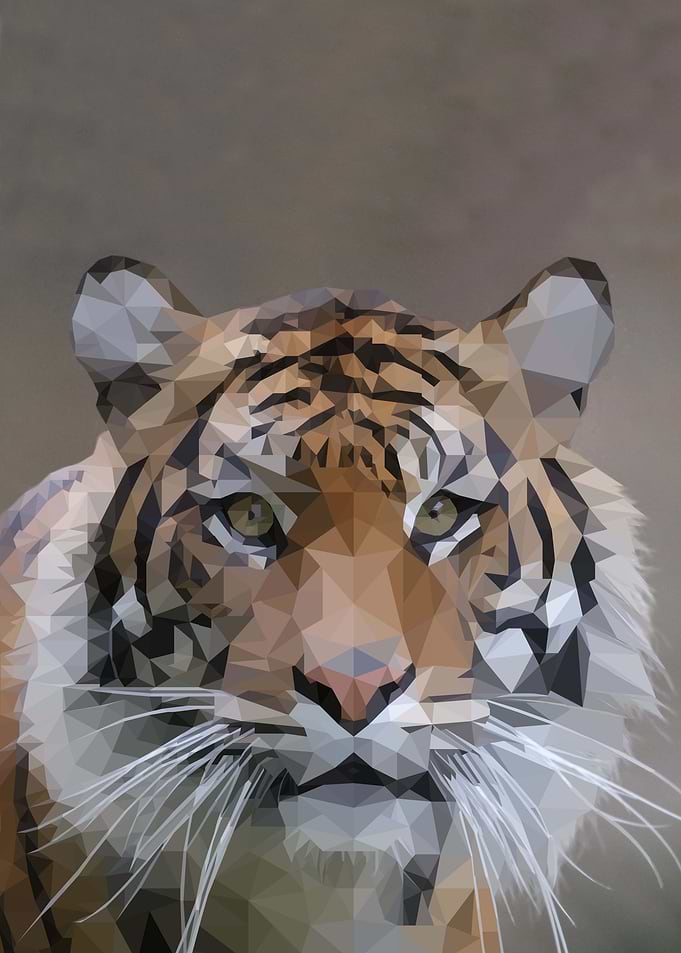 Tiger Portrait