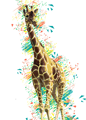 Giraffe white color
