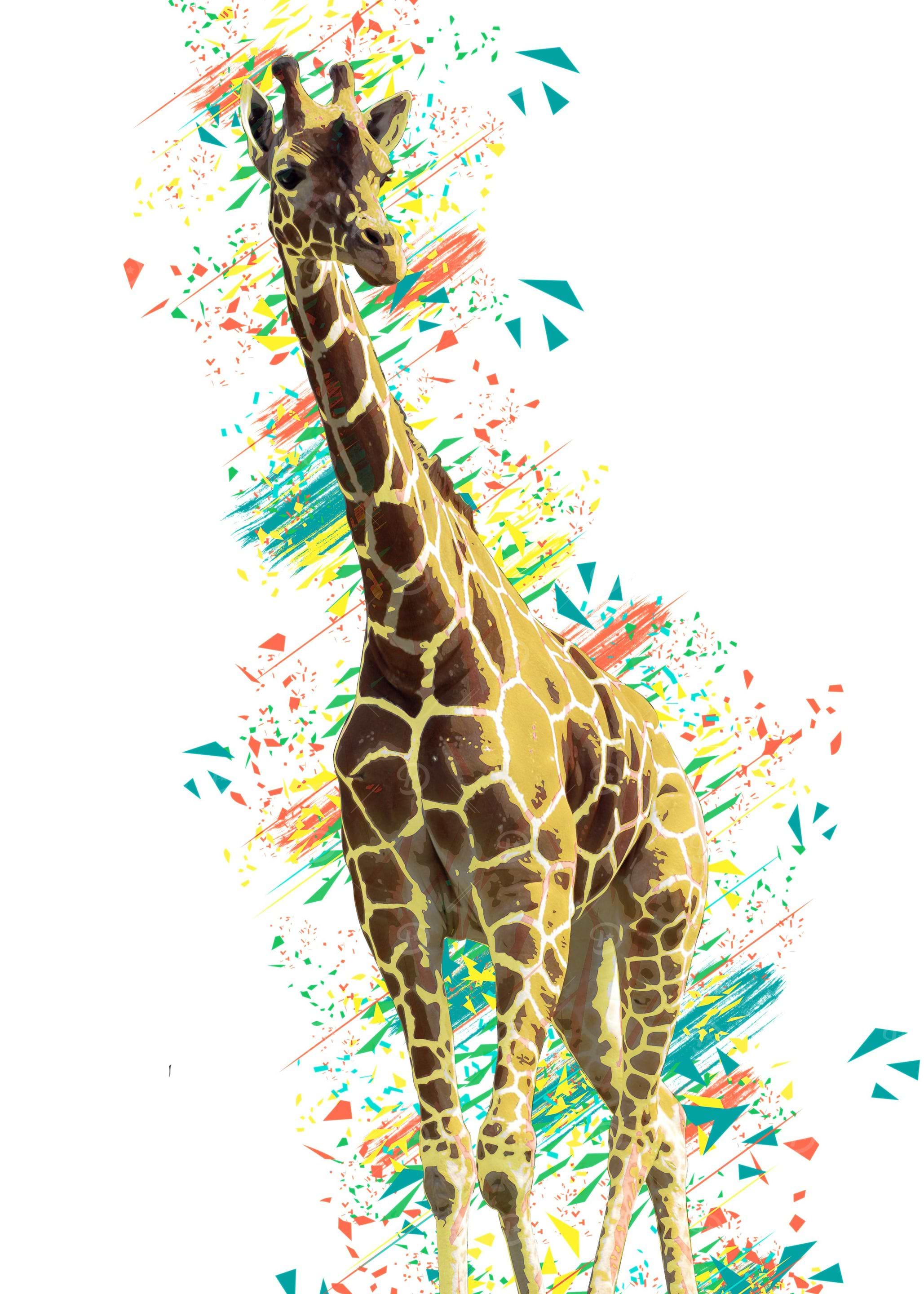 Giraffe white color
