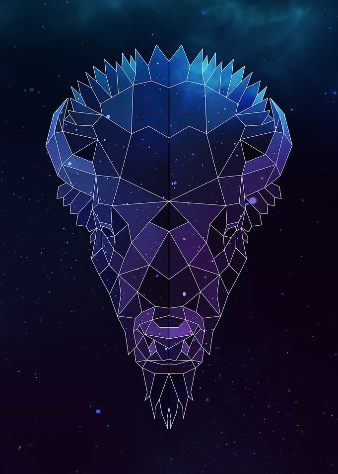 Galaxy Bison