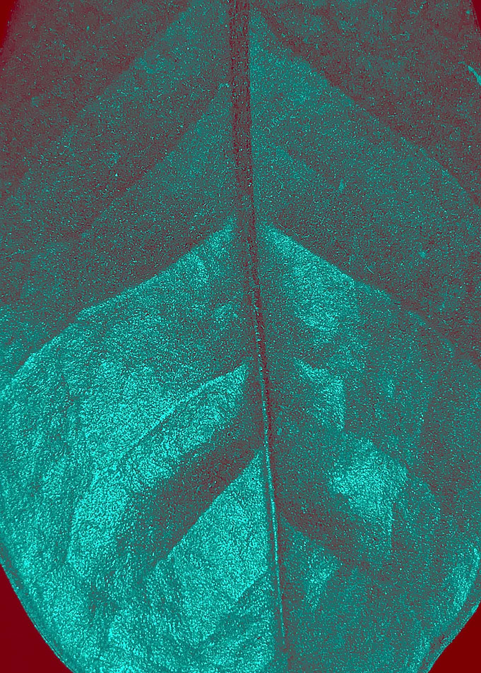 Closer Look