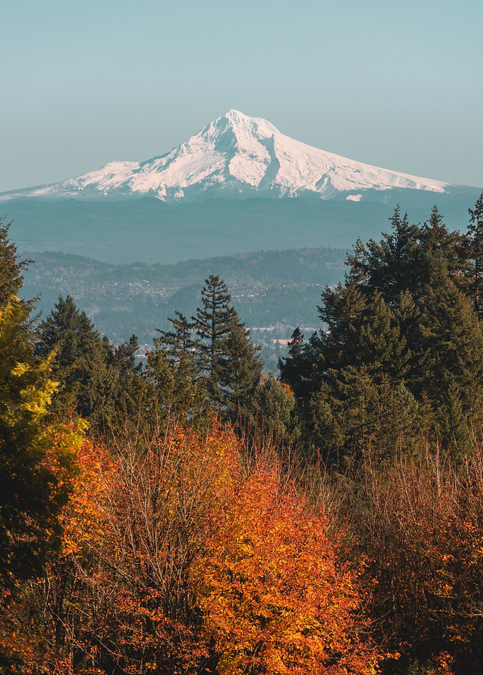Mt Hood in autumn