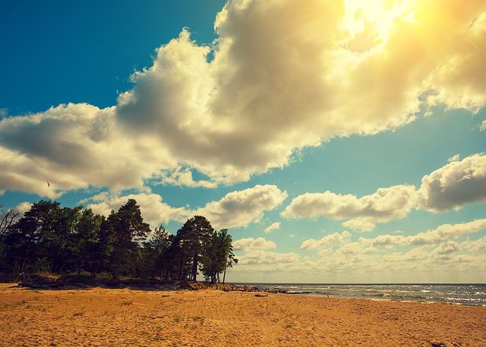 Wild Desert Beach With Pin