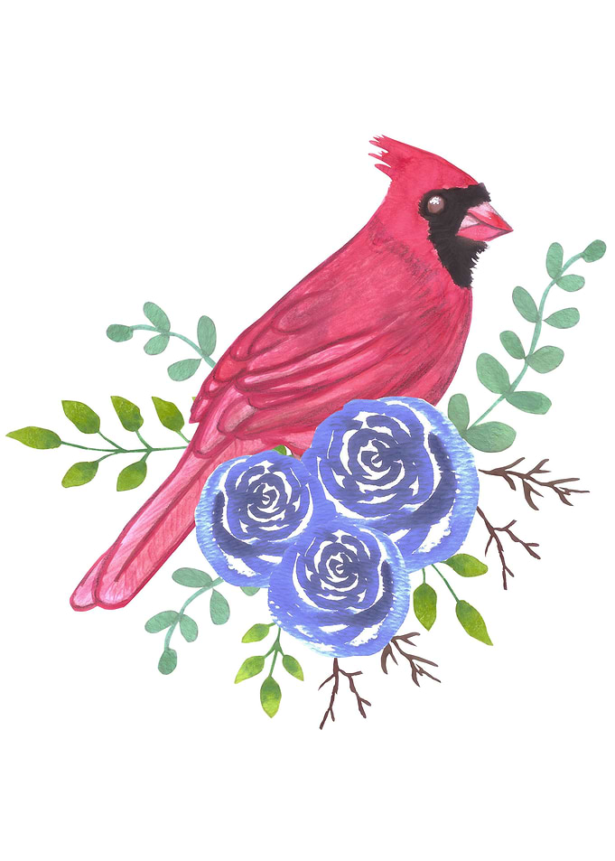 Cardinal and blue roses