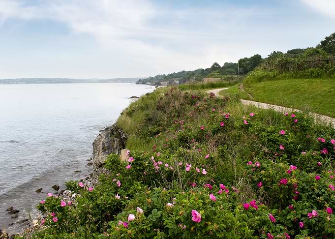 Newport Rhode Island Shore
