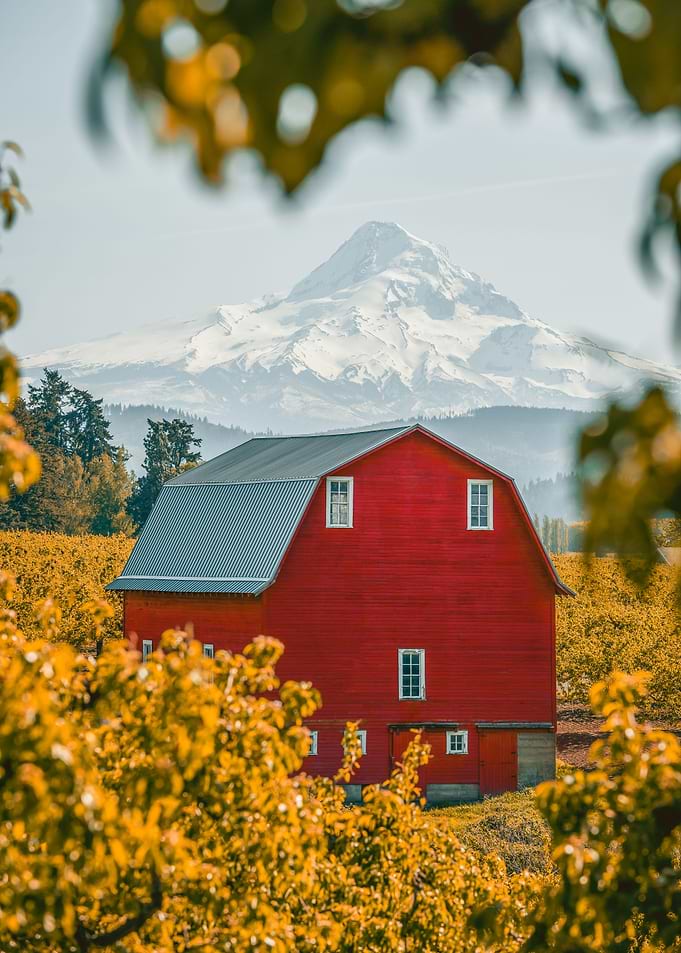 Red barn and Mt Hood