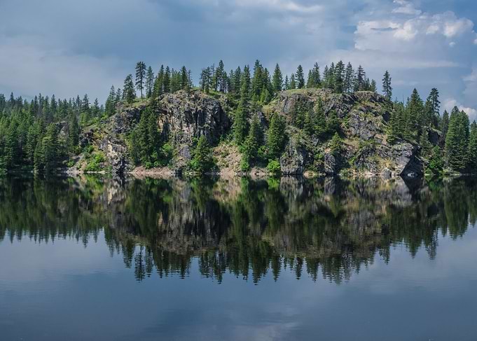 Forest Lake Reflection