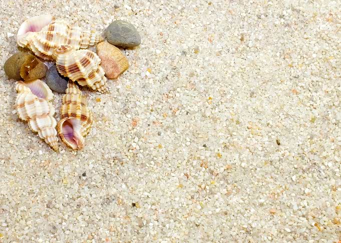 Life Is A Beach