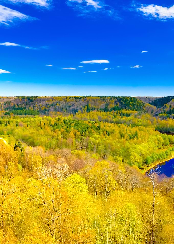 Spring Landscape In Siguld