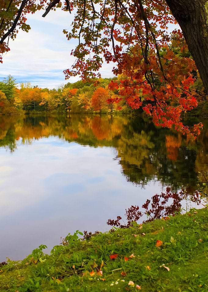 New England Foliage