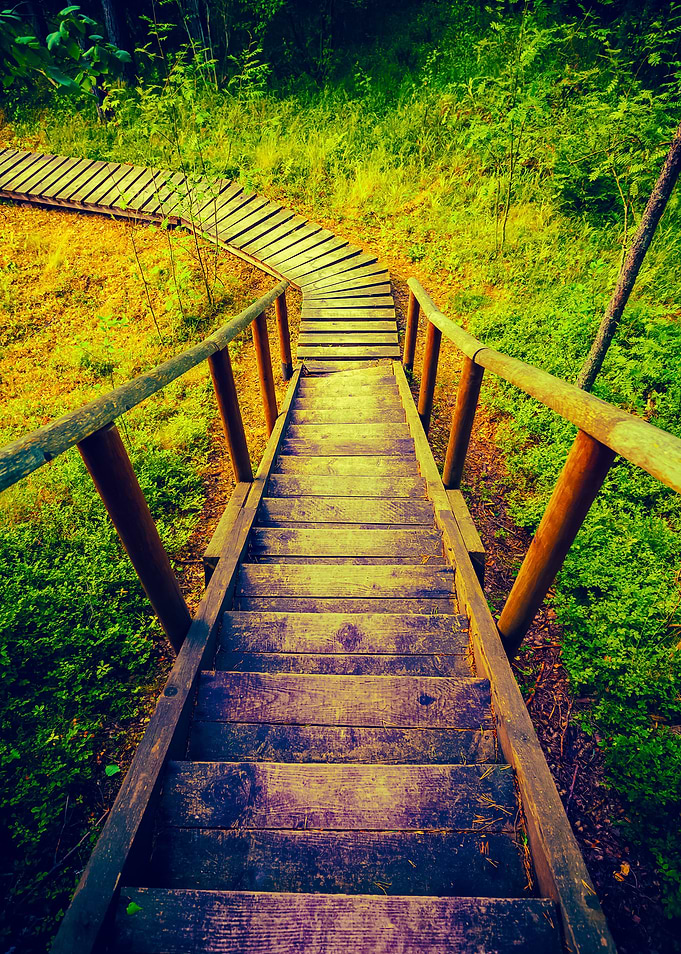 Wooden Pathway In The Fore