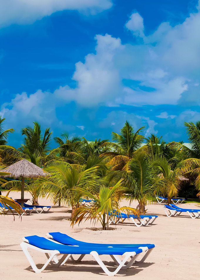 Beach In Antigua