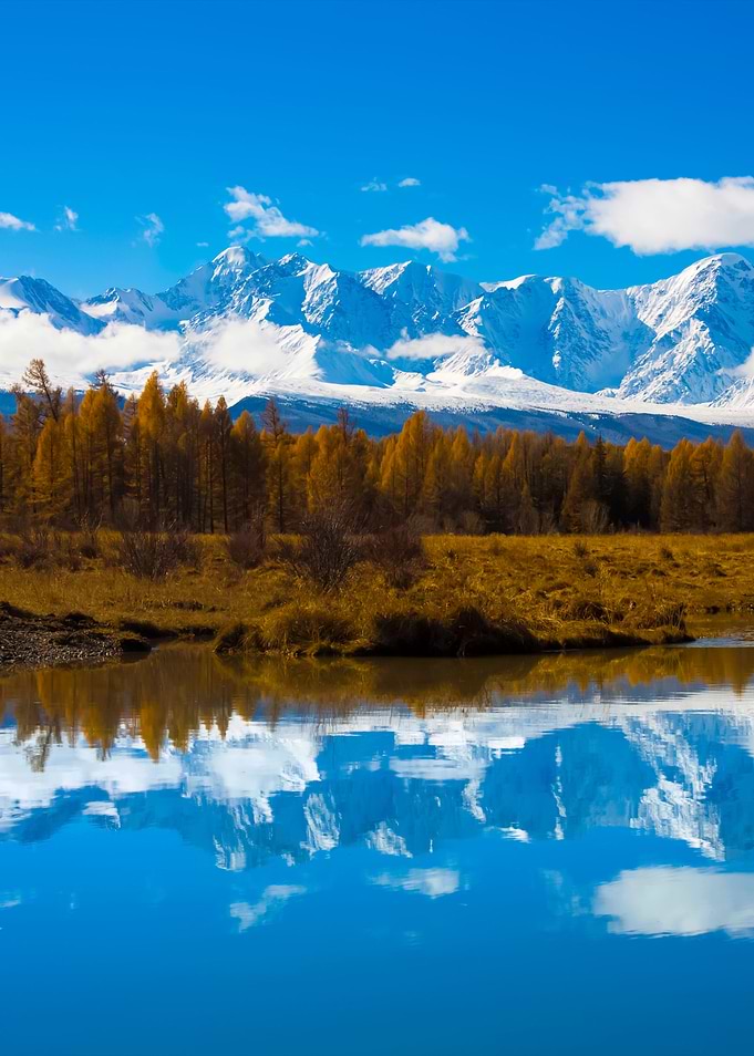 Stunning Backgrounds