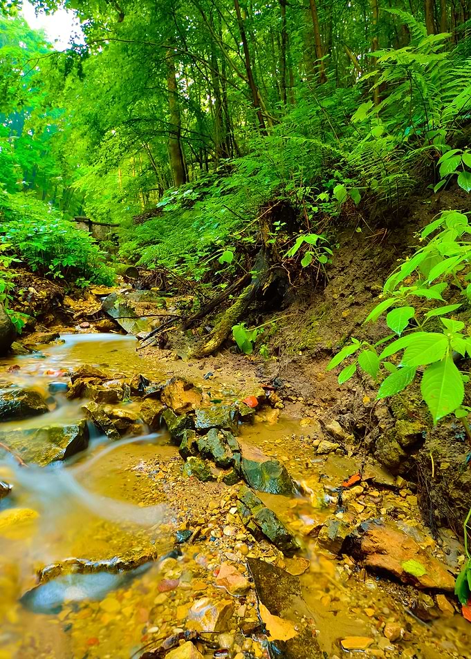 Small River Scene Among Ro