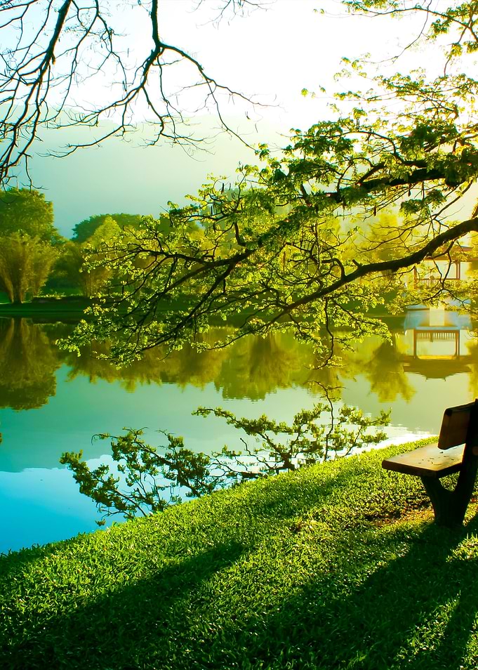 Wooden Chair At Lake Garde