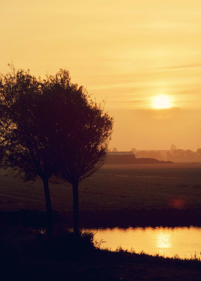 Landscape 5