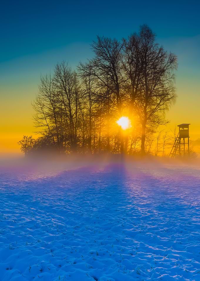 Beautiful Winter Field Lan
