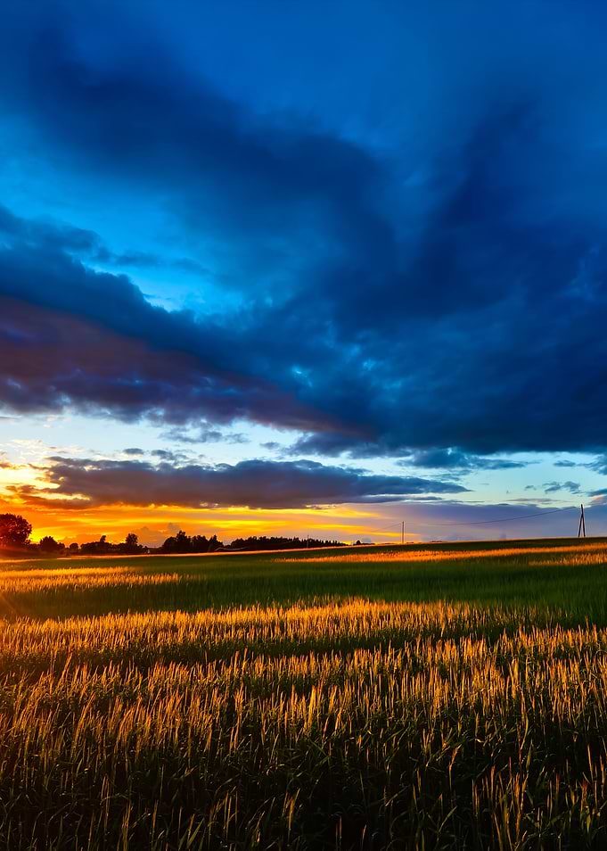 A Sunset Over The Field