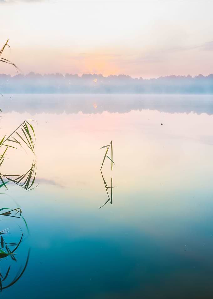 Morning Foggy Lake