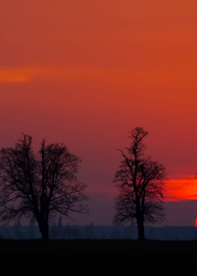 Sunset Over Rural Field