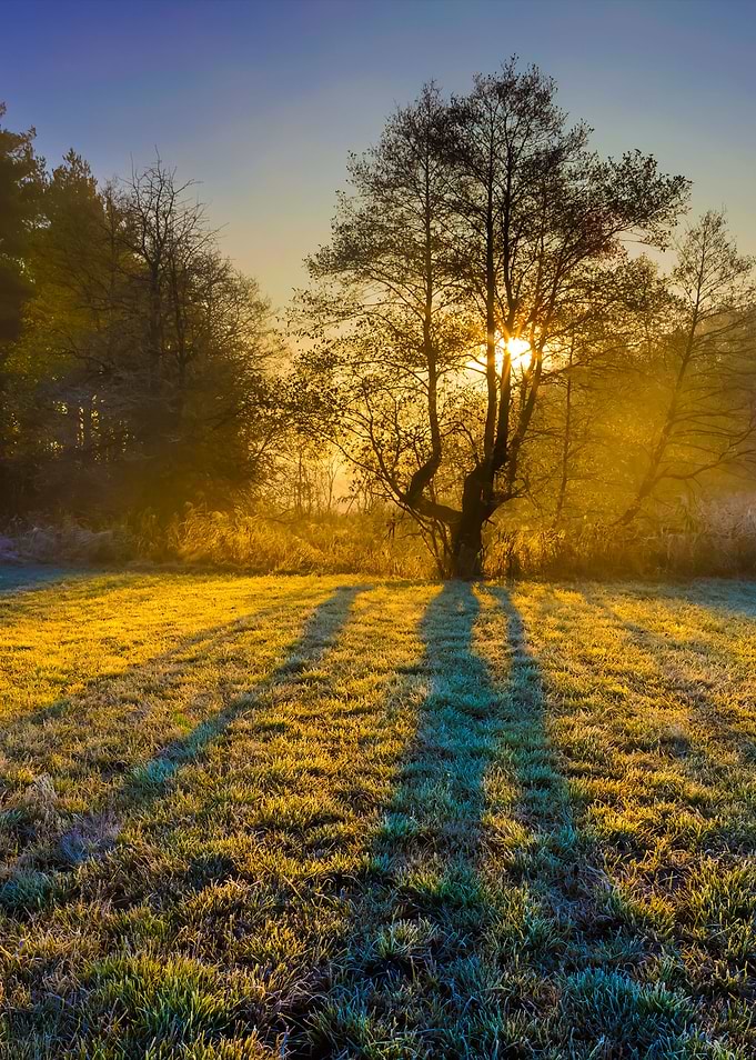 Beautiful Morning With Fro