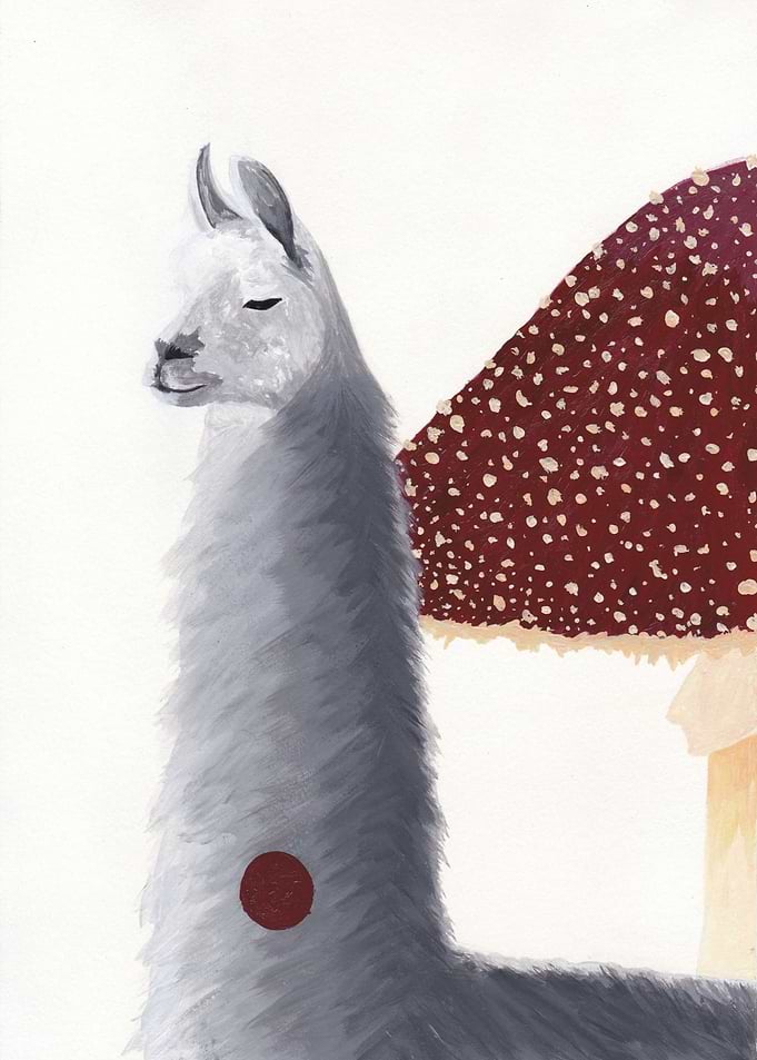 The Camelid