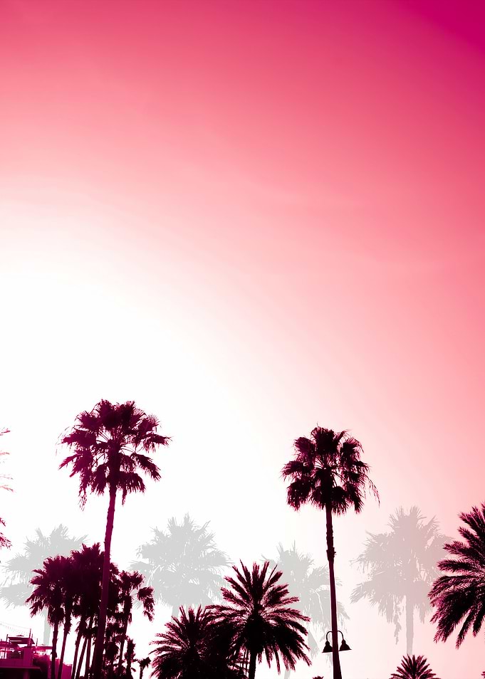 Palm Trees Sunset Retro