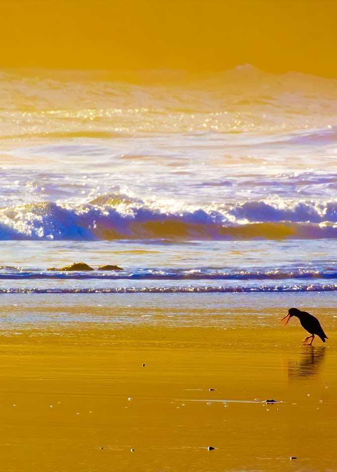 Stunning Backgrounds