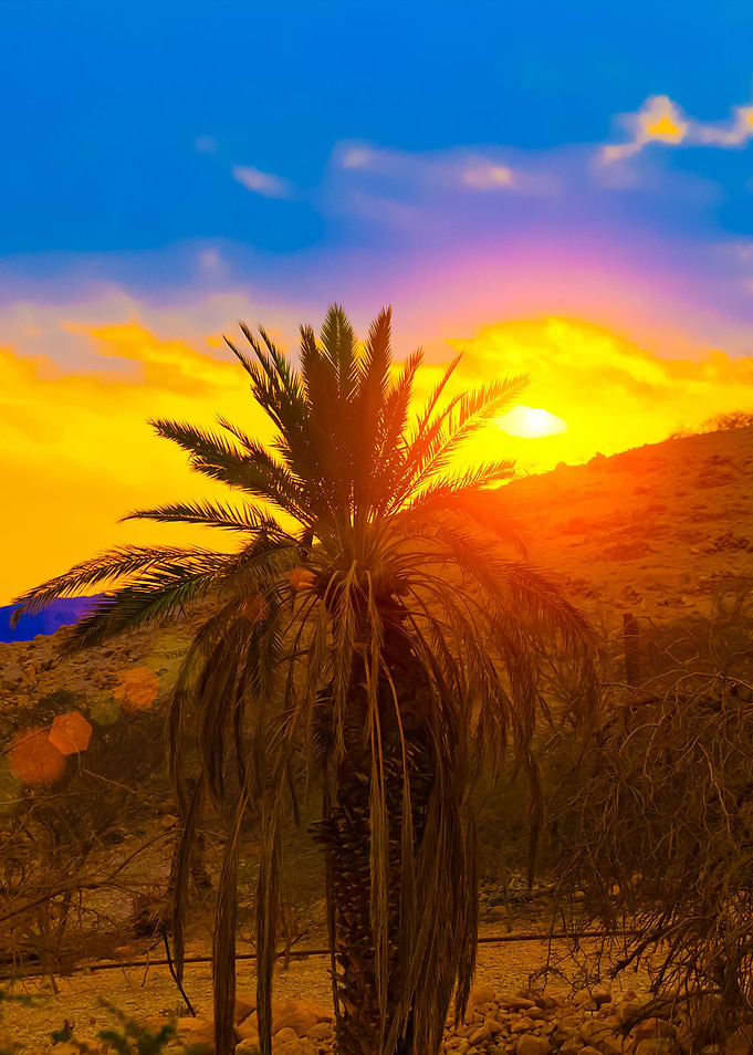 Palm Against Mountains At