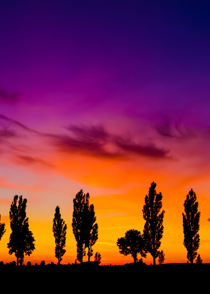Sunset Over Rural Field