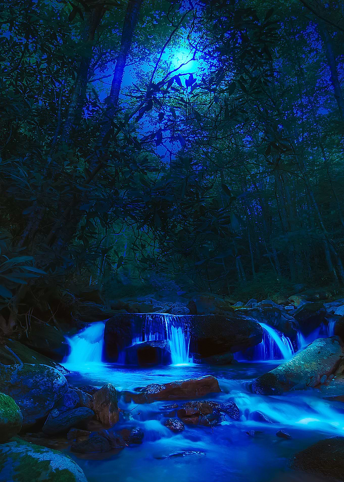Moonlit Creek