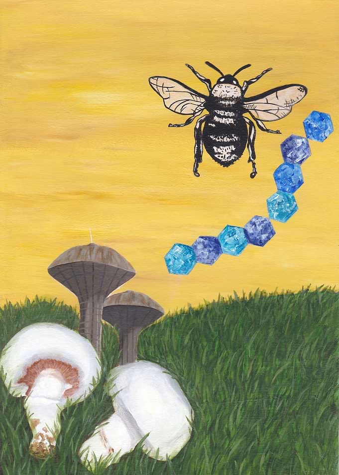 Bee lieve