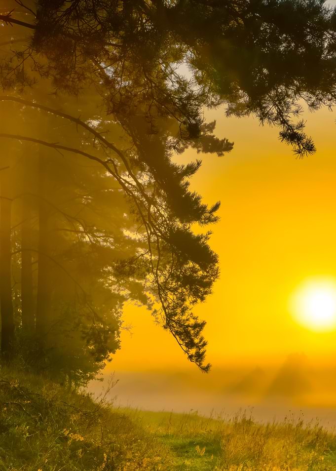 Foggy Morning On Polish Me
