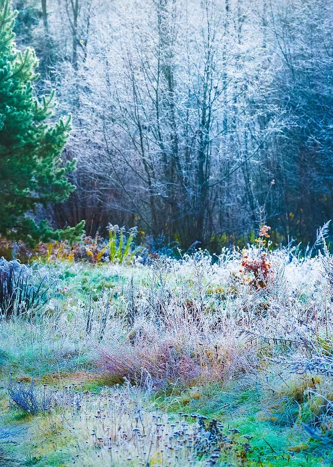 Landscape With The Frozen