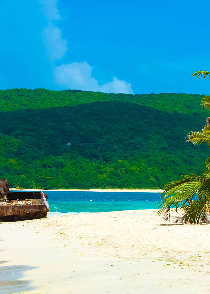 Puerto Rico Beach Tank