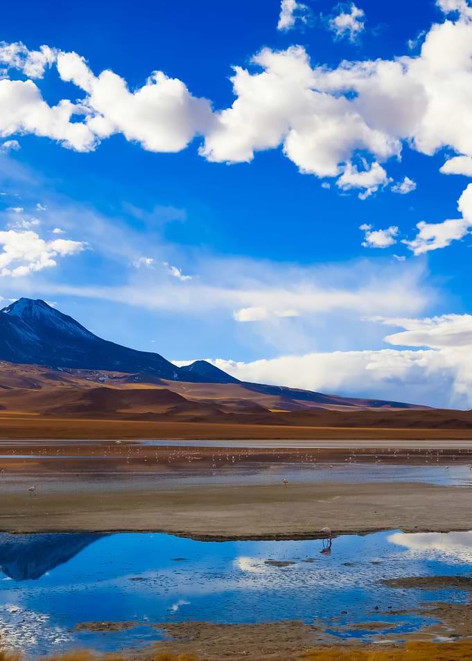 Stunning Backgrounds