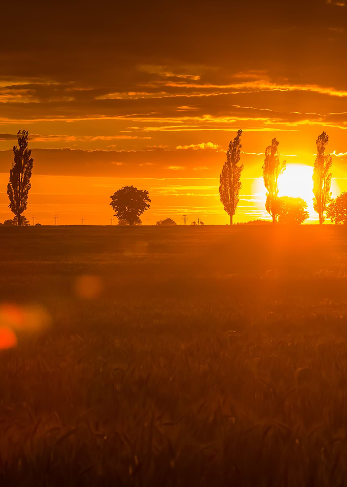 Landscape With Orange Suns