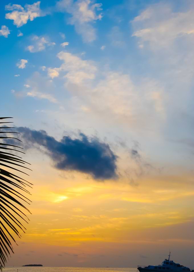 Beautiful Sunset On A Trop
