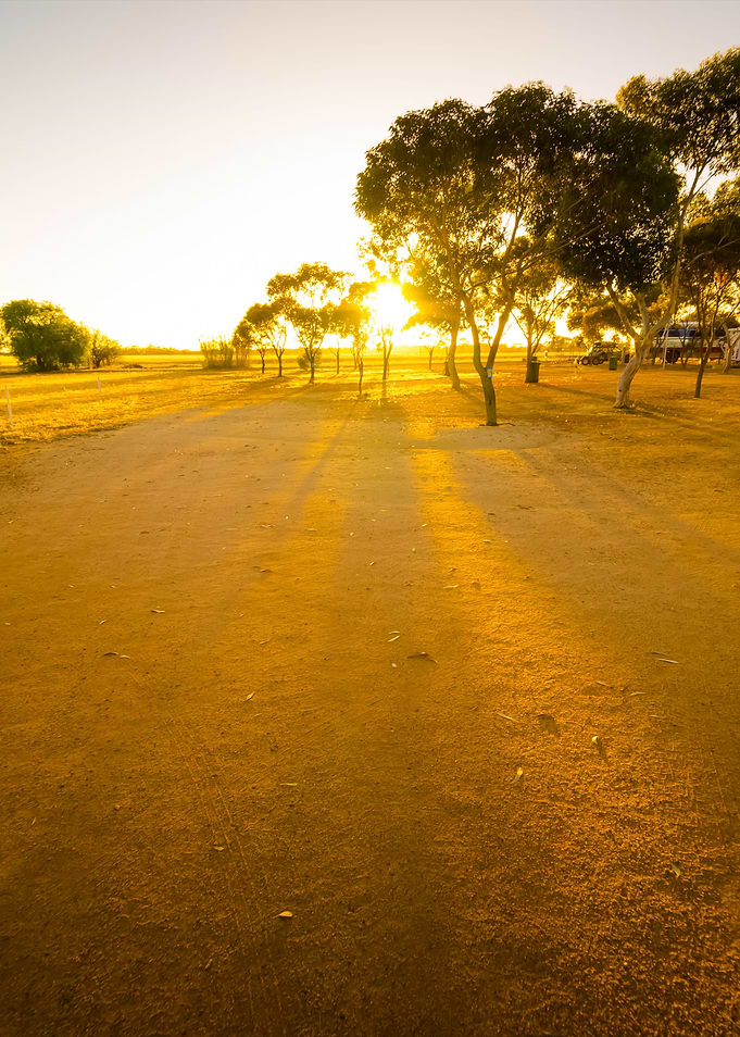 Sunrise In The Morning At