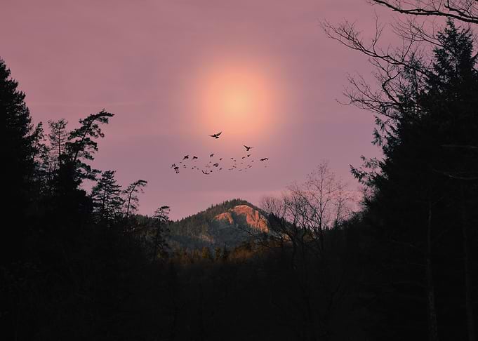 Pink sky
