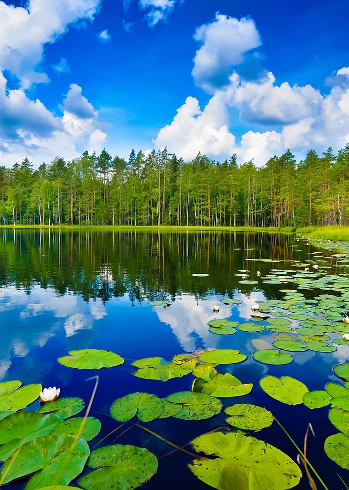 Saimaa Lake In Finland