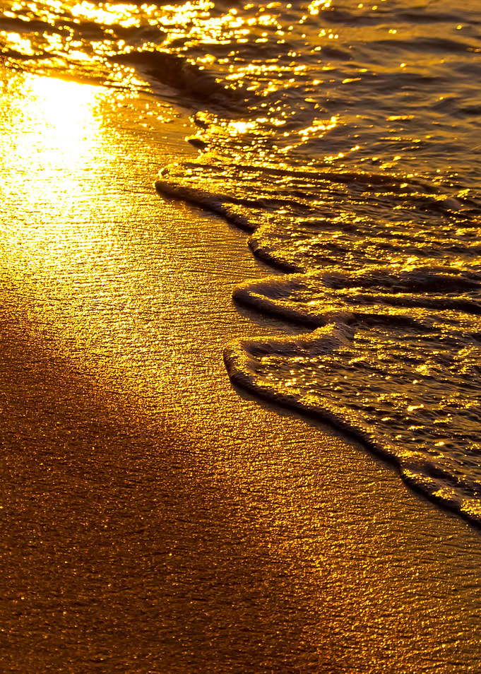 Beach In The Evening