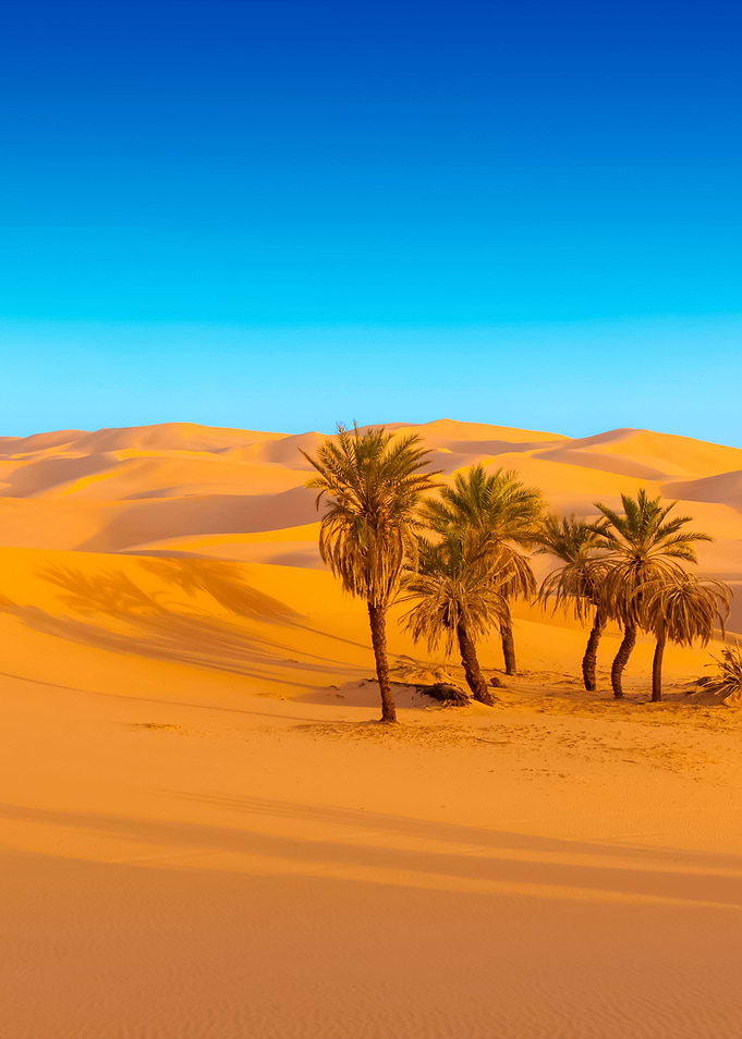 Stunning Backgrounds