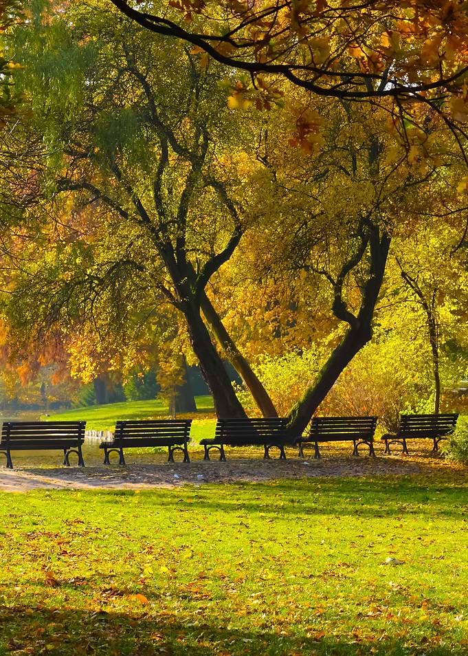 Autumn