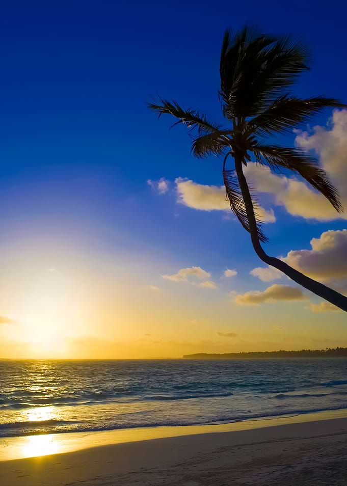 Stunning Backgrounds