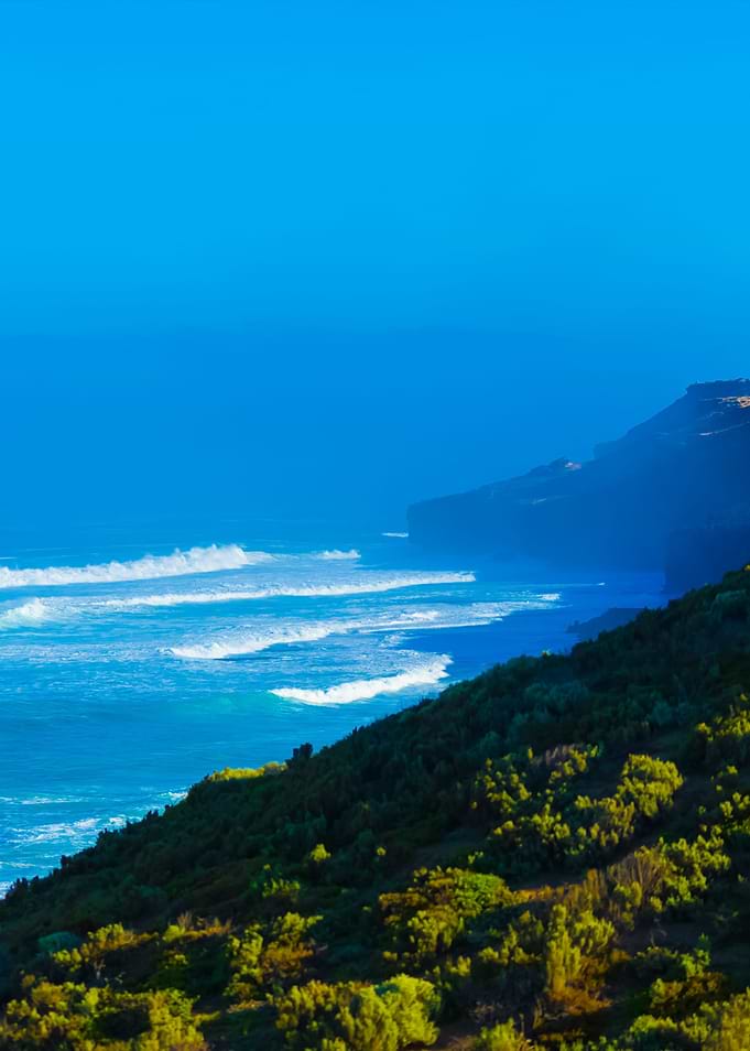 Coastal Bliss