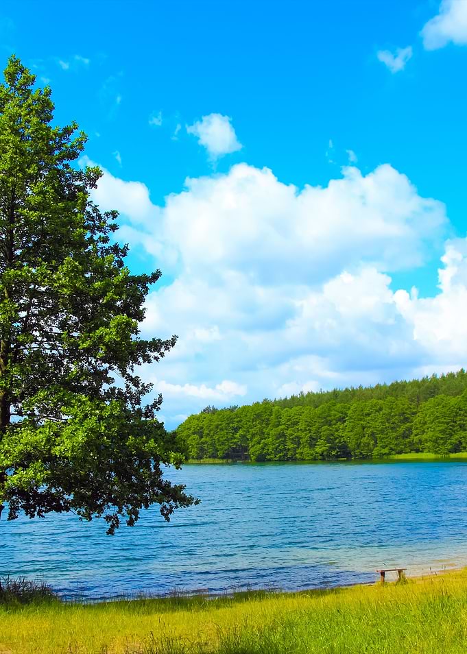 Lake Coast