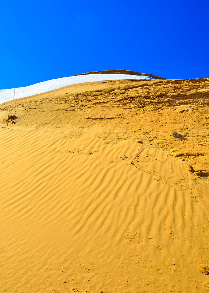 Desert Landscape General V