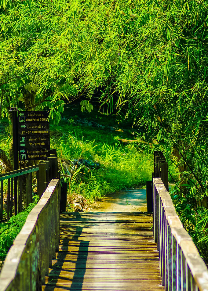 Bridges Bamboo Tropical Ra